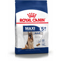 Nourriture Royal Canin Maxi Adult 5+ Adulte Poulet Riz 15 kg
