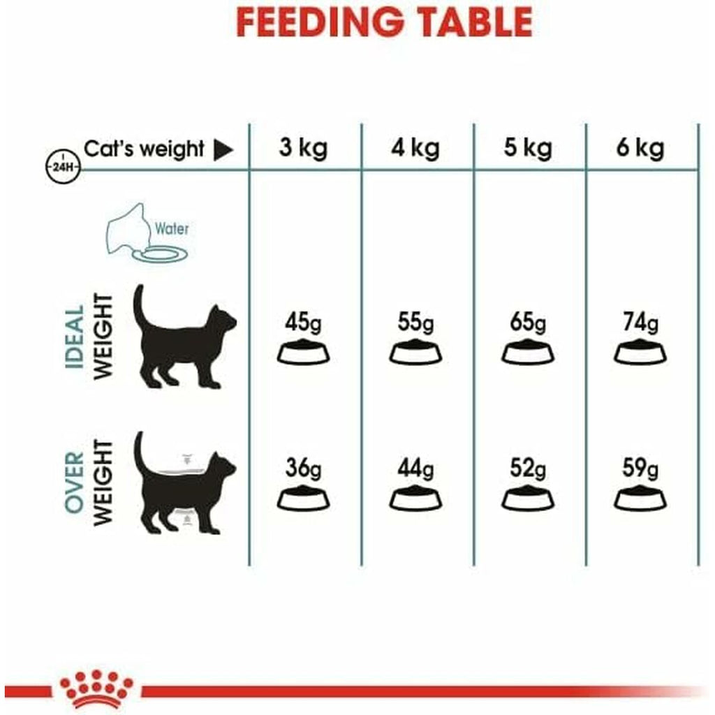 Aliments pour chat Royal Canin Adulte Poulet Riz Maïs Légumes 10 kg