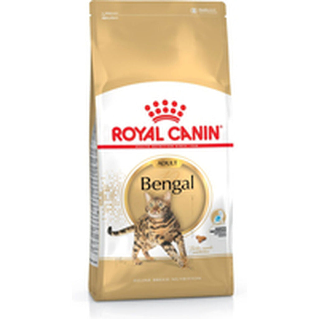Aliments pour chat Royal Canin Bengal Adult Adulte Poulet Légumes Oiseaux 10 kg