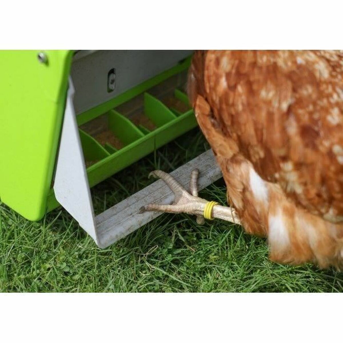 Alimentation automatique Kerbl Métal