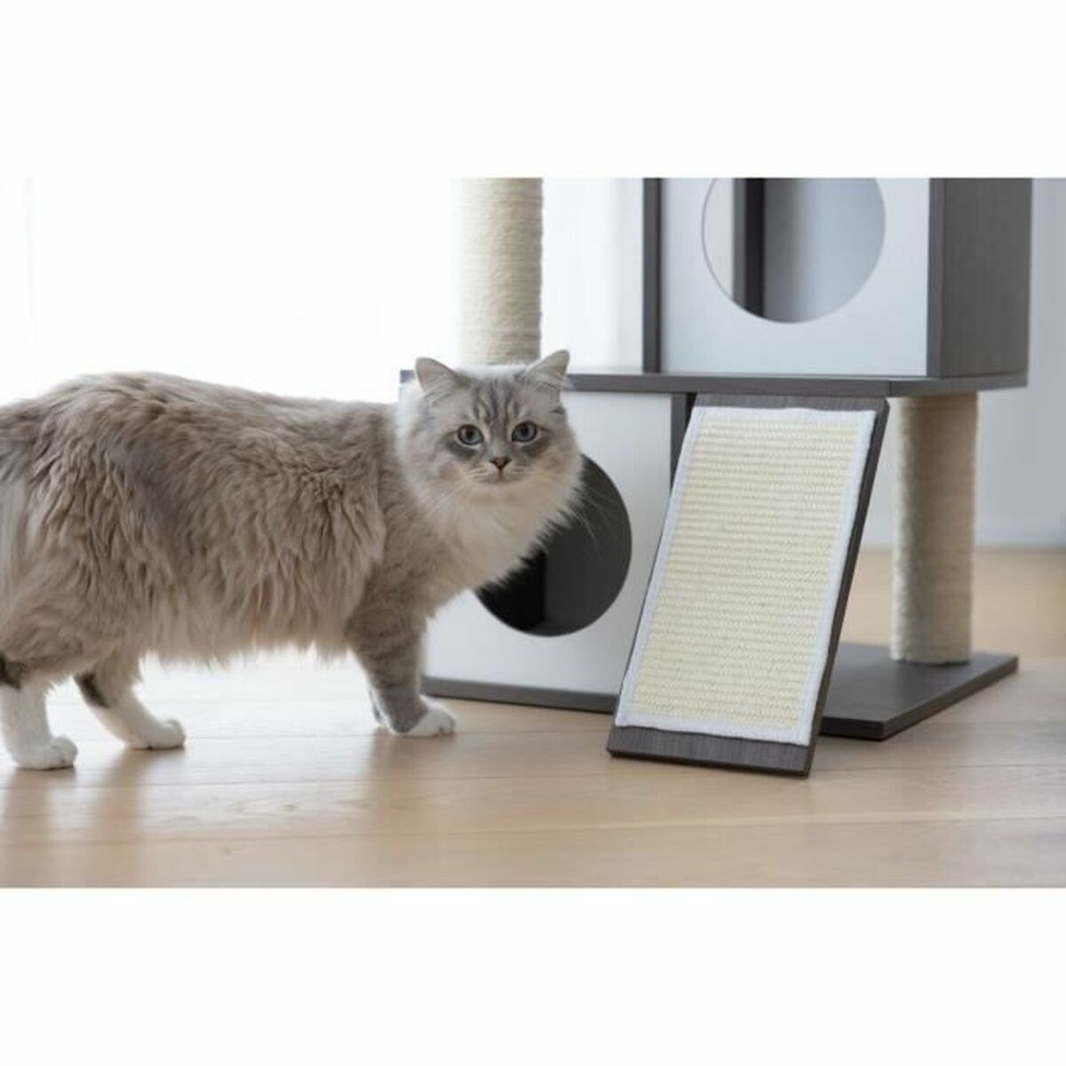 Grattoir pour Chats Kerbl Gris Blanc/Noir Sisal