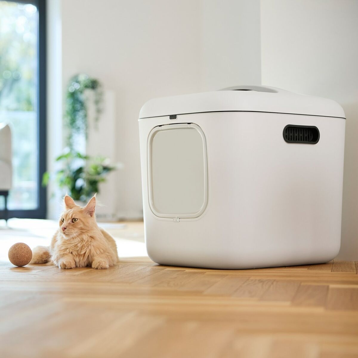 Bac à litière pour chats Rotho Biala XL Blanc Plastique