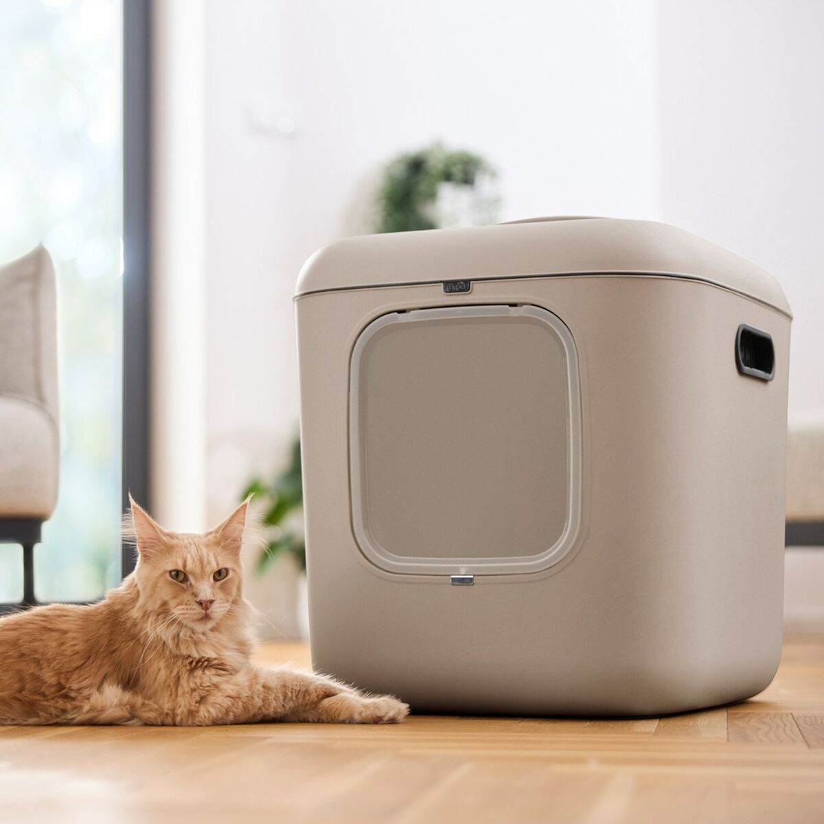 Bac à litière pour chats Rotho Biala XL Cappuccino Plastique